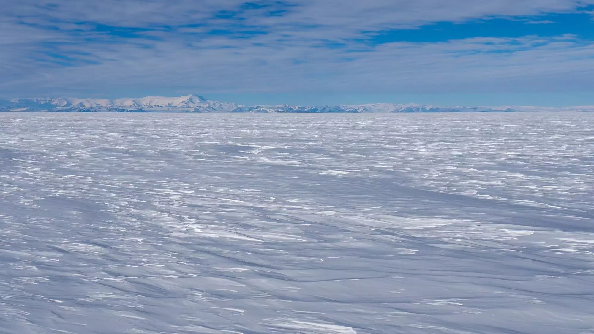 The Future of West Antarctic Ice Sheet Stability