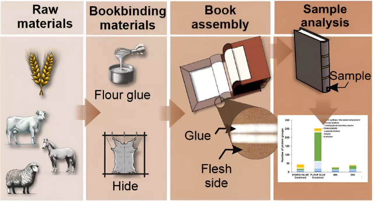 The Science of Bookbinding: Understanding Wheat-based Glues