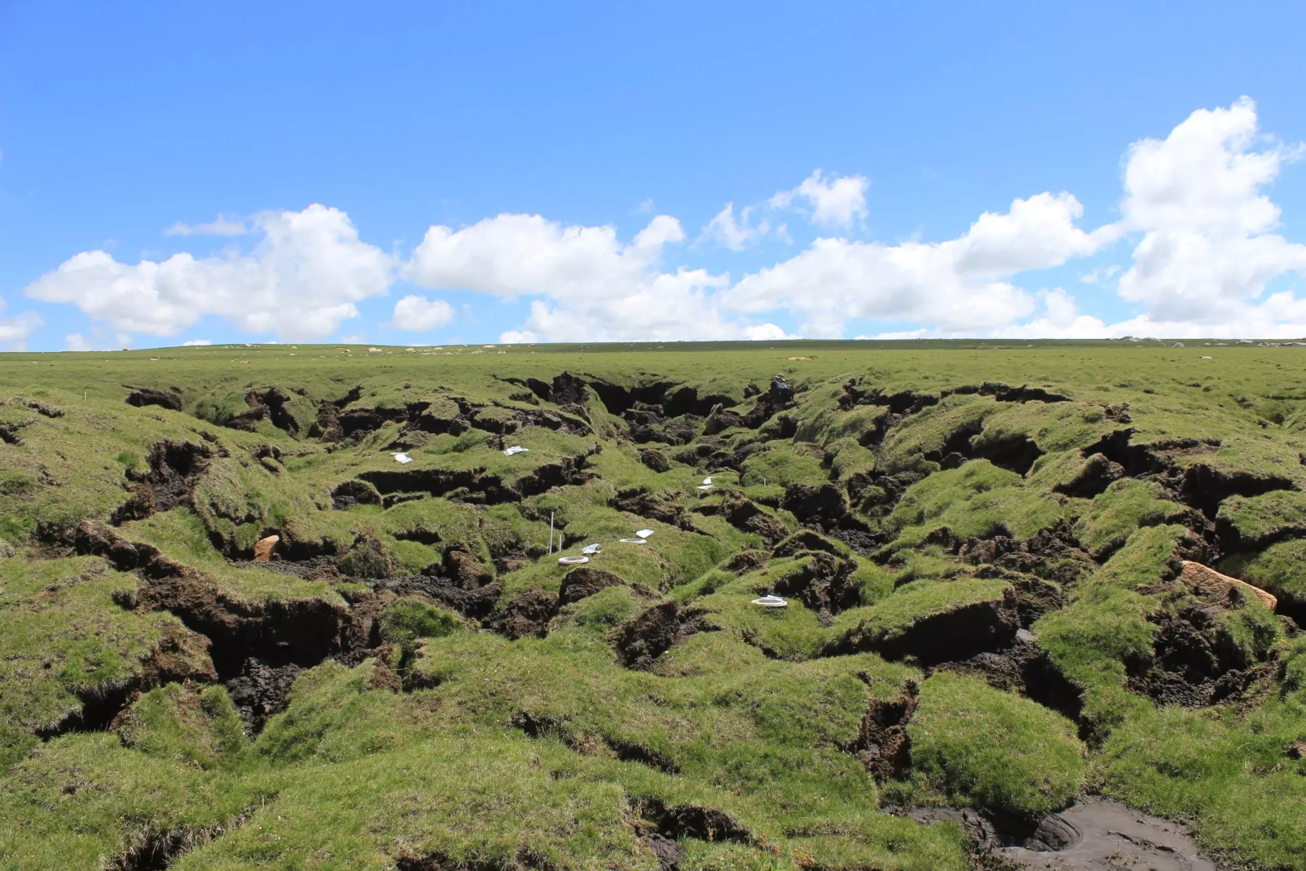 The Impact of Climate Warming on Soil Carbon Dioxide Emissions in Permafrost Regions