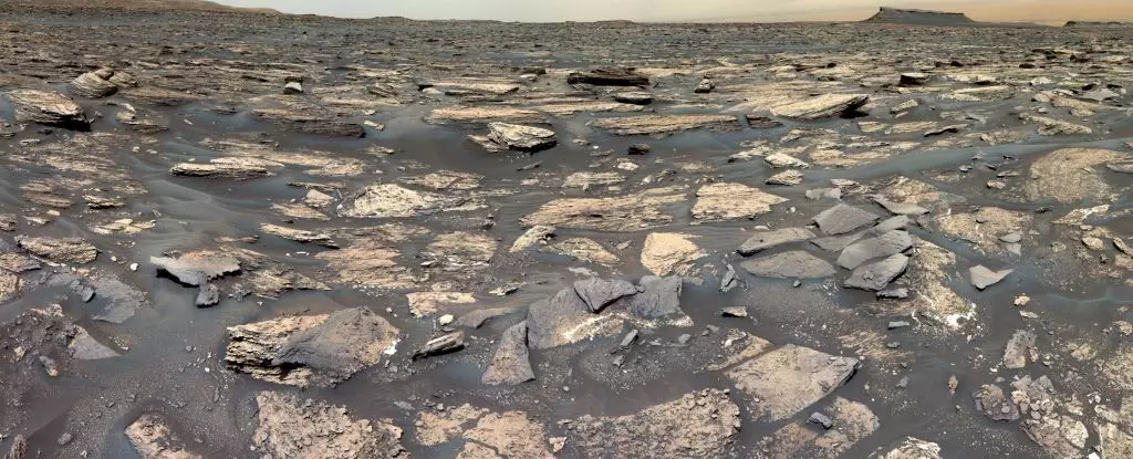 The Search for Habitability on Ancient Mars