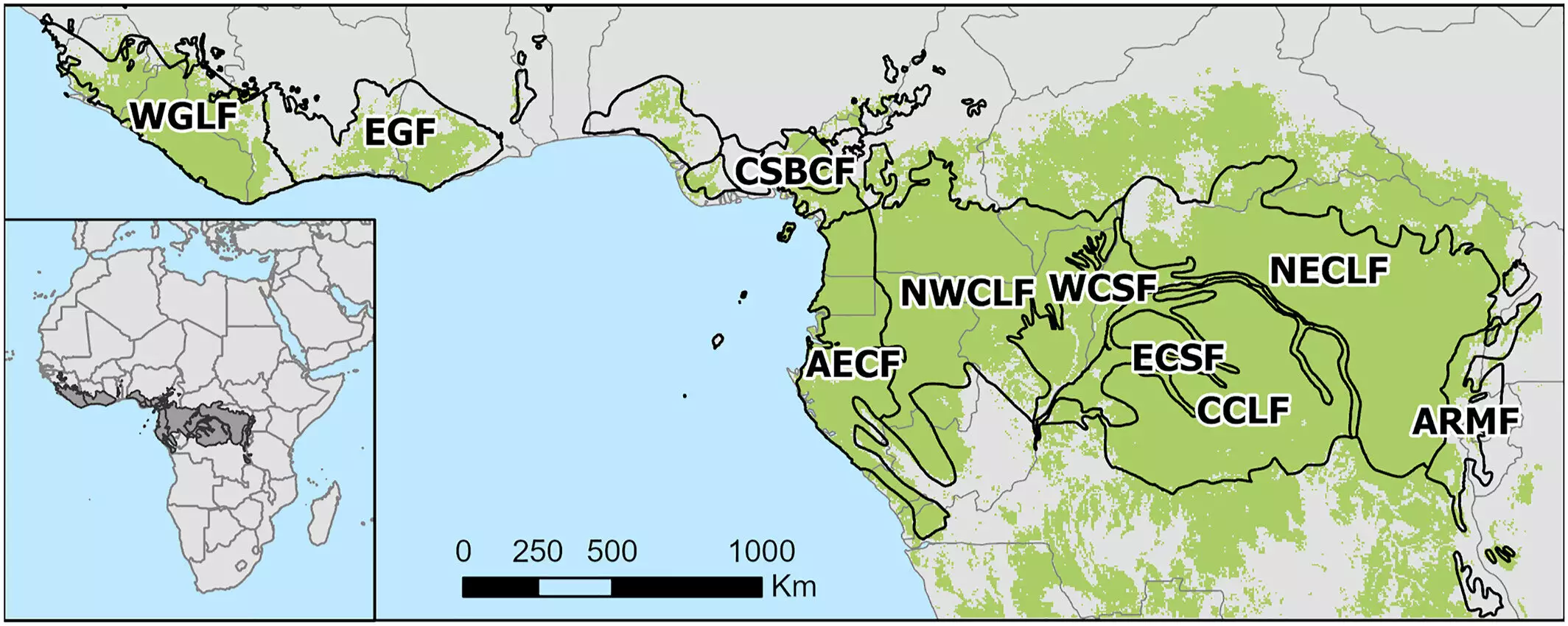 Understanding the Impact of Increasing Forest Fires in Wet, Tropical African Forests