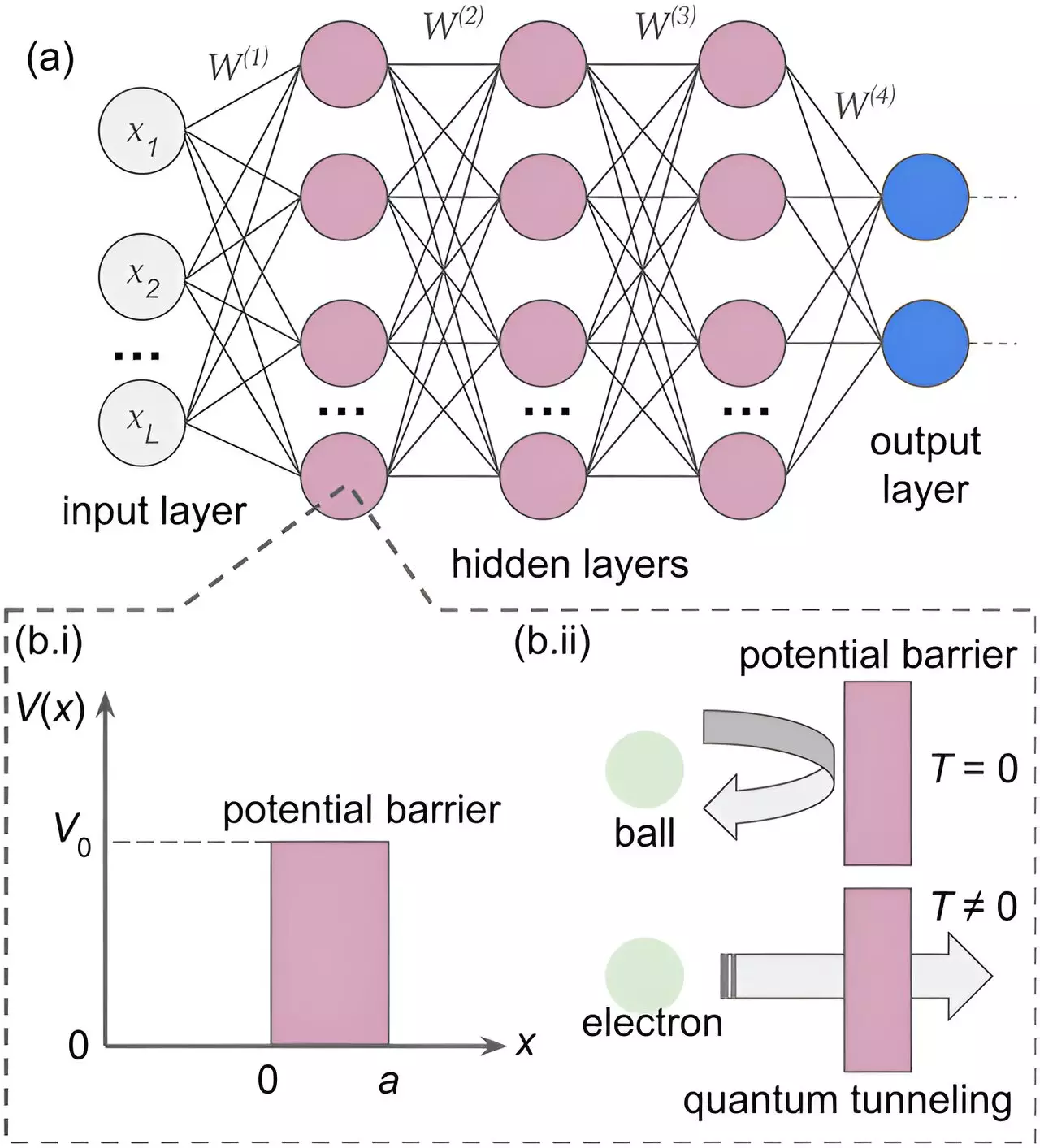 Exploring Quantum Tunneling in Neural Networks to Understand Optical Illusions