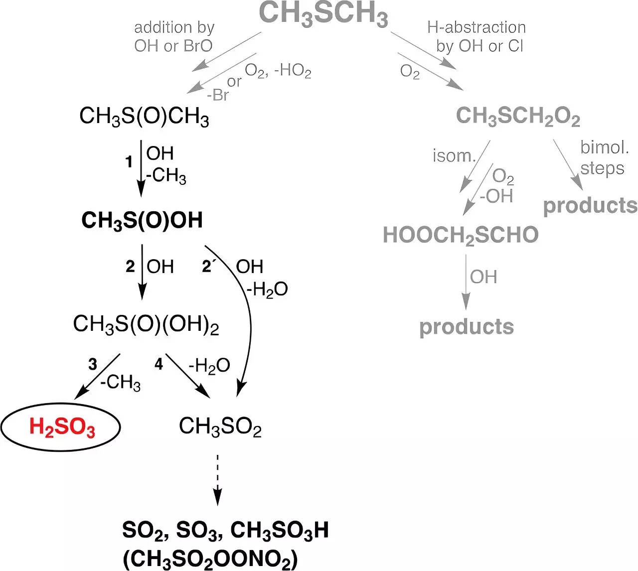 The Unveiling of Sulfurous Acid: A Breakthrough in Atmospheric Chemistry