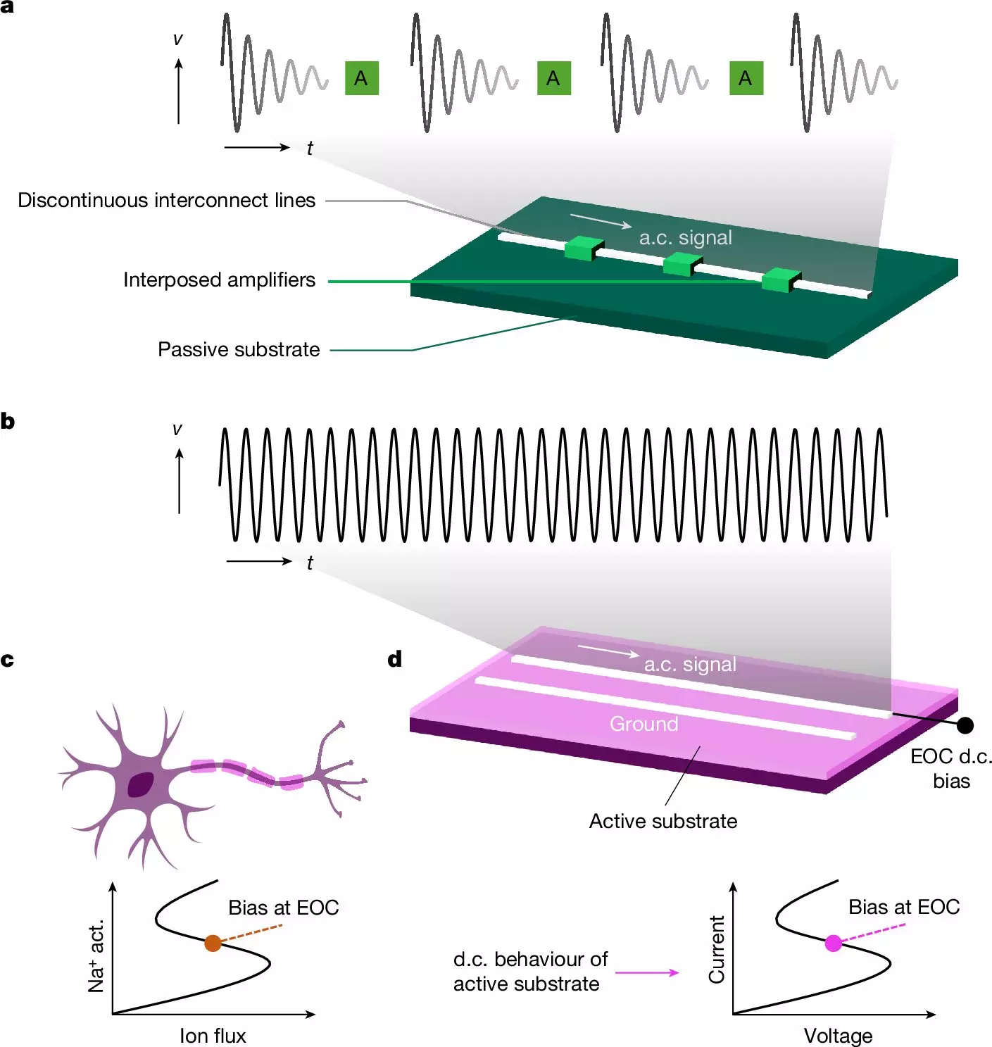 Revolutionizing Computing: Insights from Brain Functionality