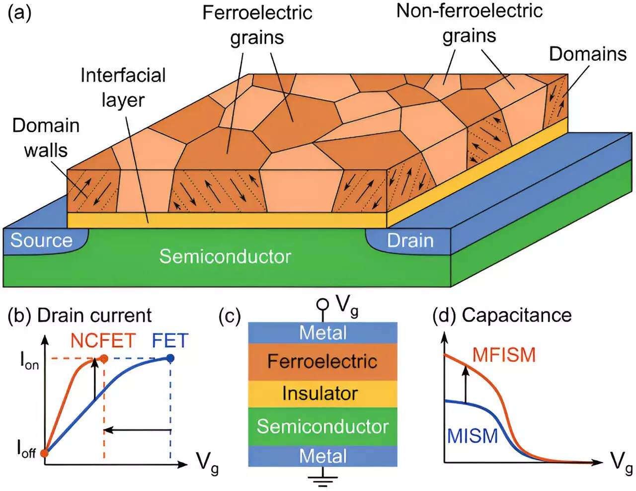 Revolutionizing Microchip Technology: The Future of Negative Capacitance Transistors