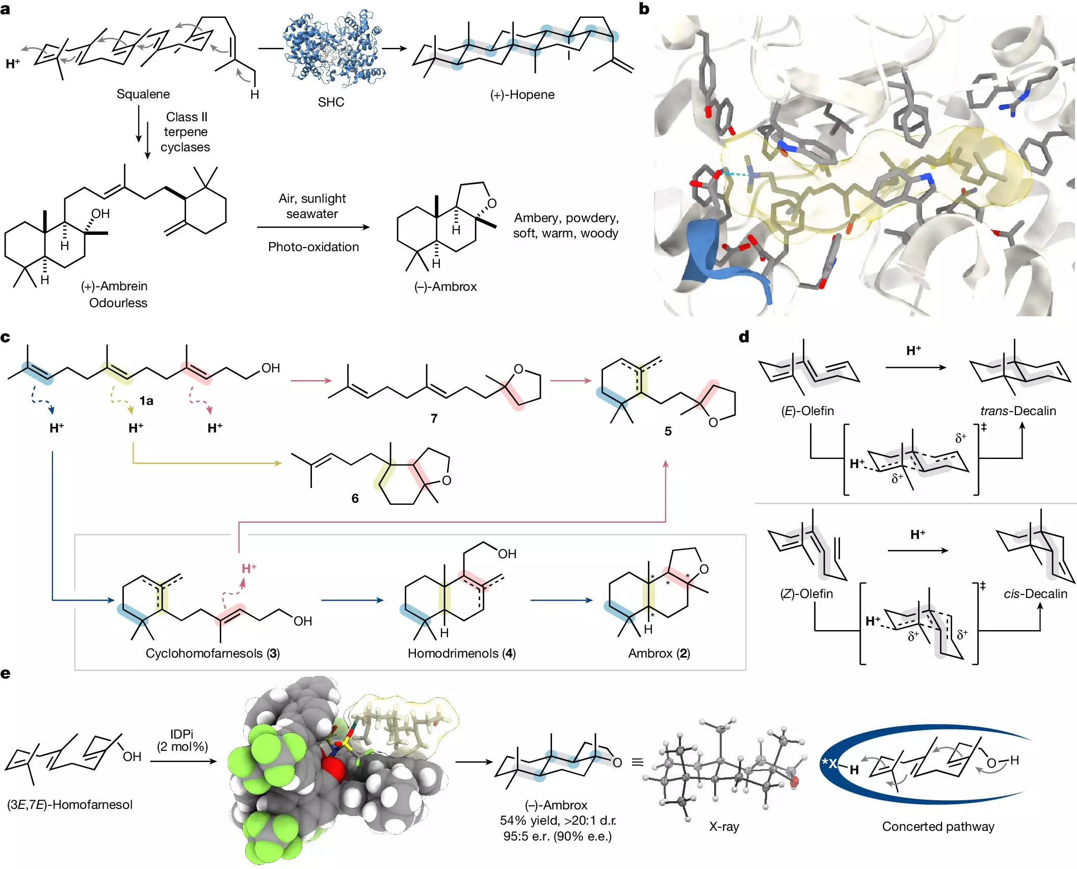 The Art and Science of Fragrance: A Breakthrough in Ambrox Synthesis