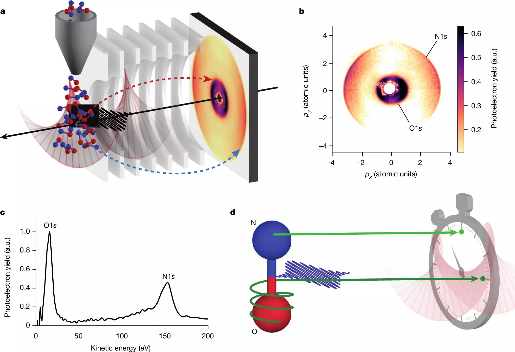 Unlocking the Secrets of Electron Dynamics: New Insights from Attosecond Science