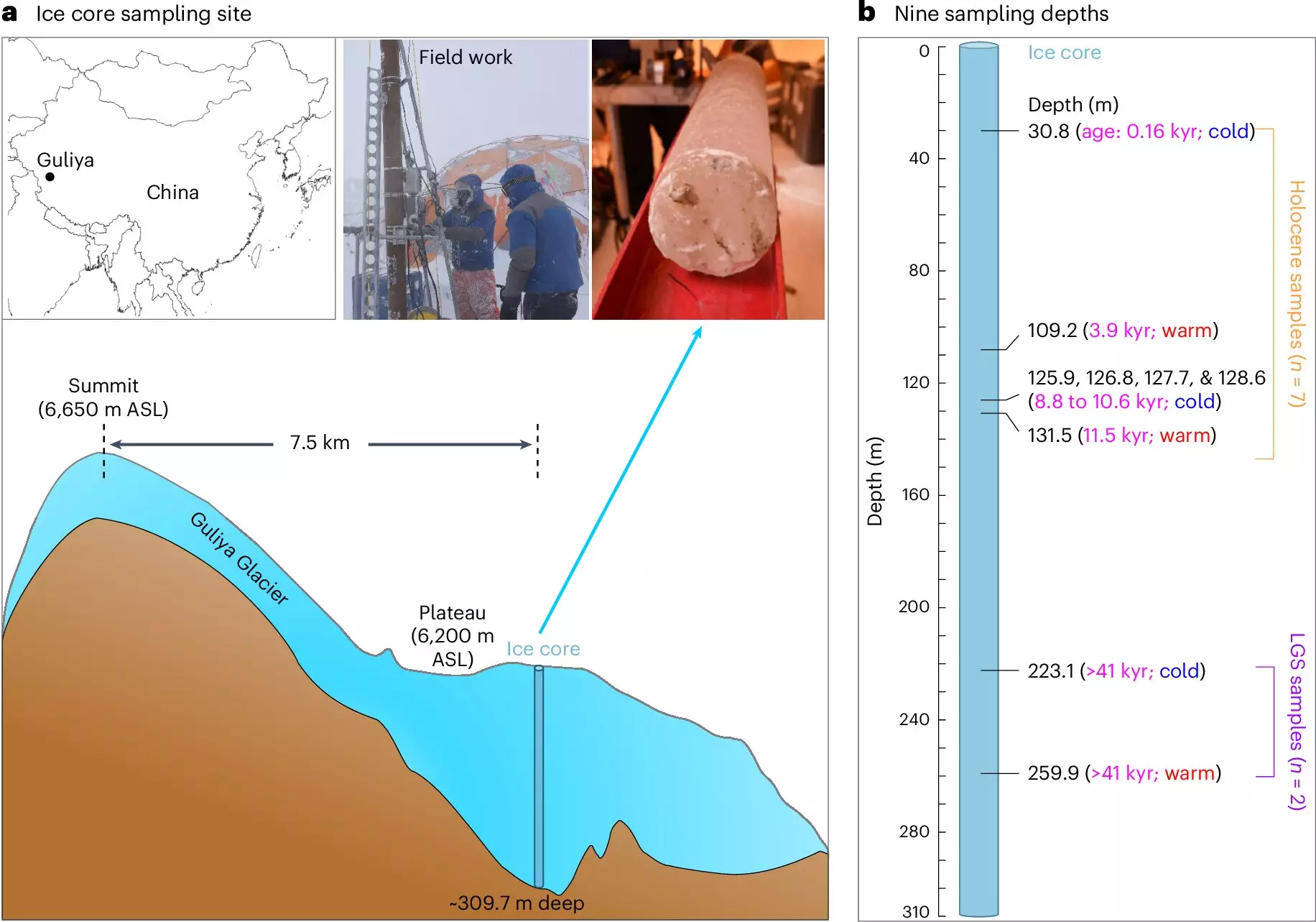 Unveiling the Secrets of Ancient Viruses in Glacial Ice: A Pathway to Understanding Climate Change