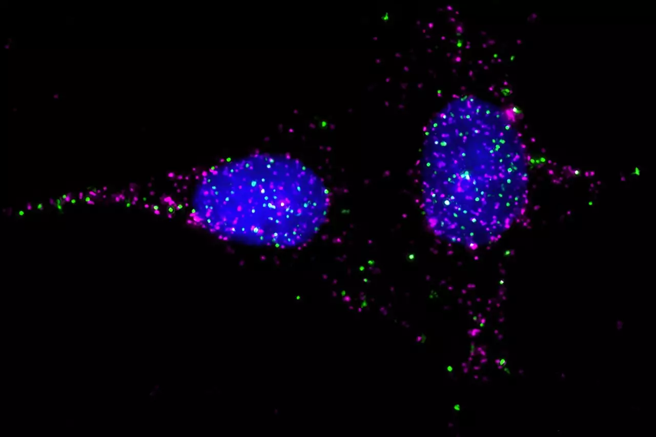 Unlocking Drug Mechanisms: The Pivotal Role of GPCR-RAMP Interactions