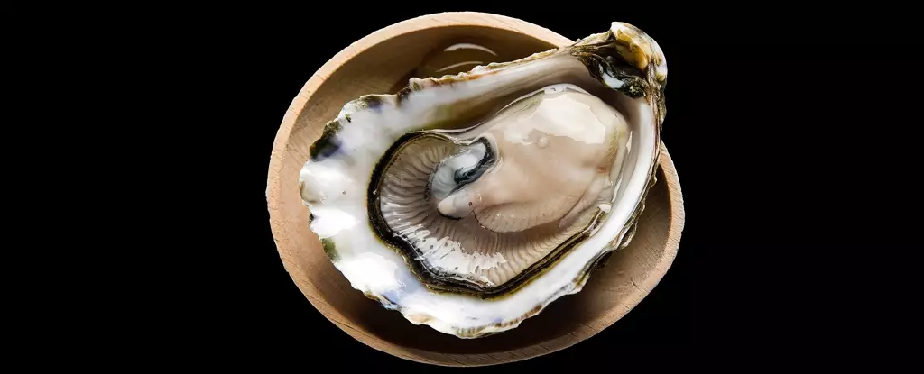 The Rising Threat of Antibiotic Resistance: Exploring the Therapeutic Potential of Oyster Proteins