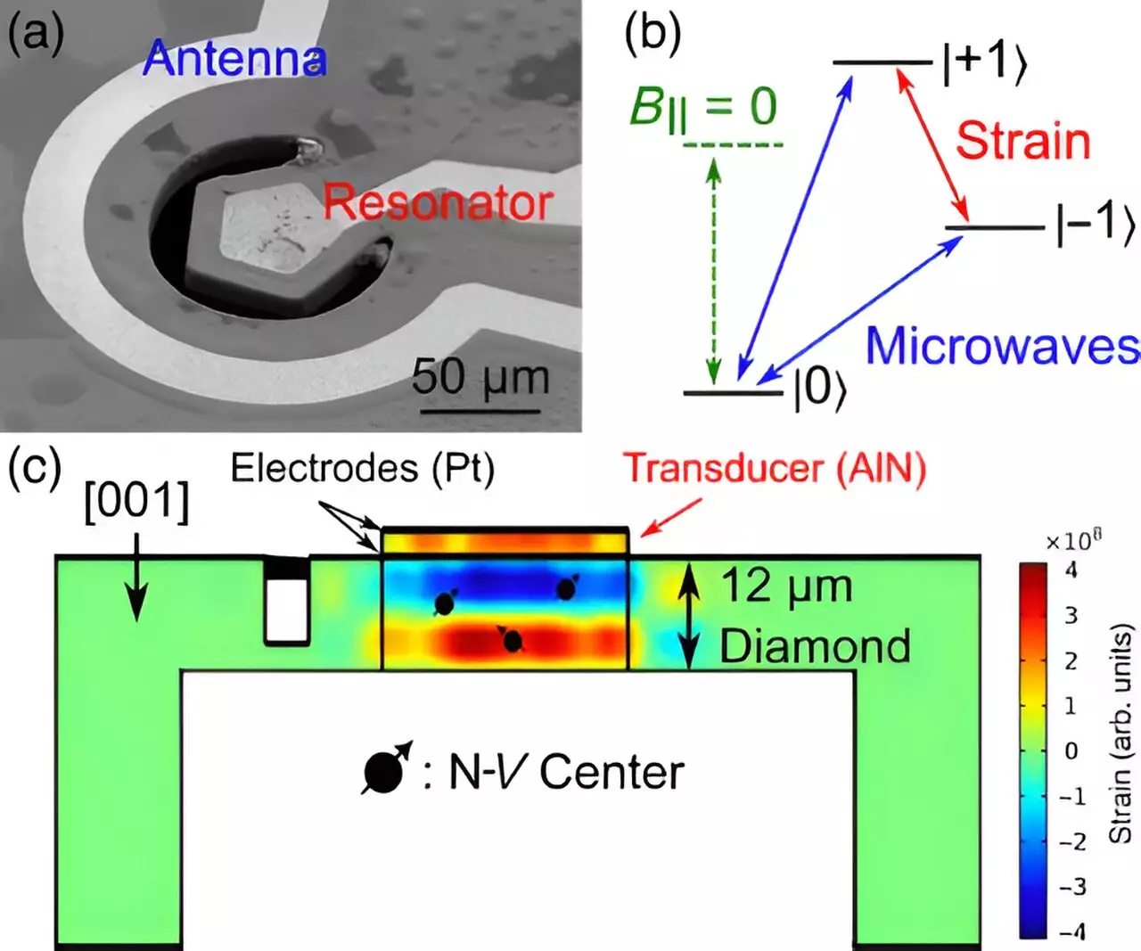 Unleashing the Potential of Diamond-Based Quantum Sensors: A Revolutionary Leap in Quantum Information Science