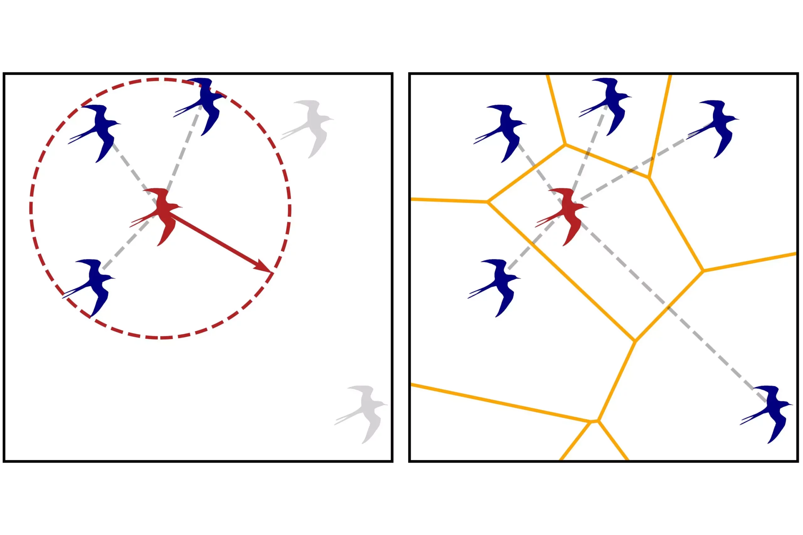 Breaking Down Collective Movement: Insights from Physics and Biology