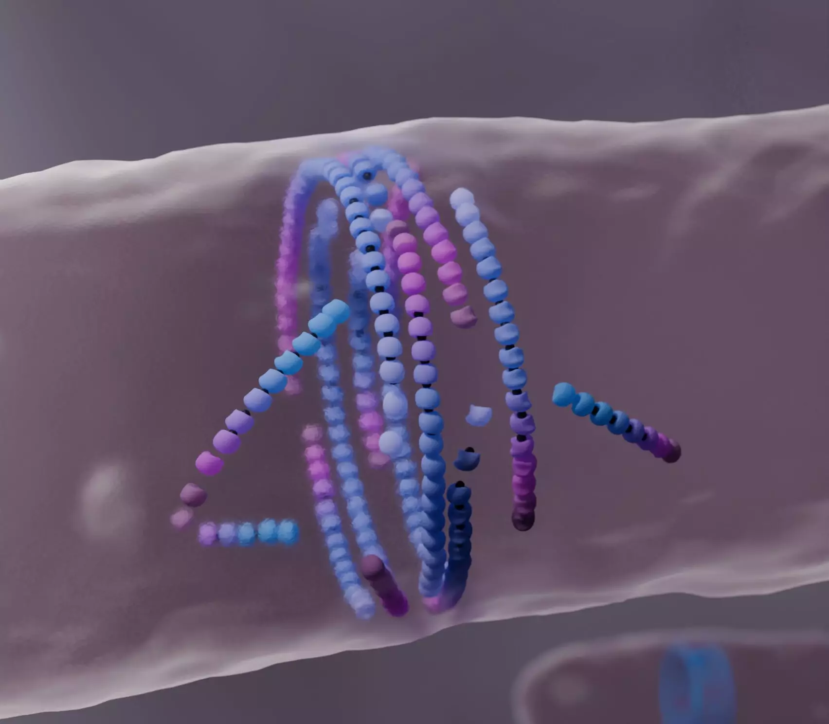 Exploring the Dynamics of Active Matter in Bacterial Cell Division: The Dying Mechanism