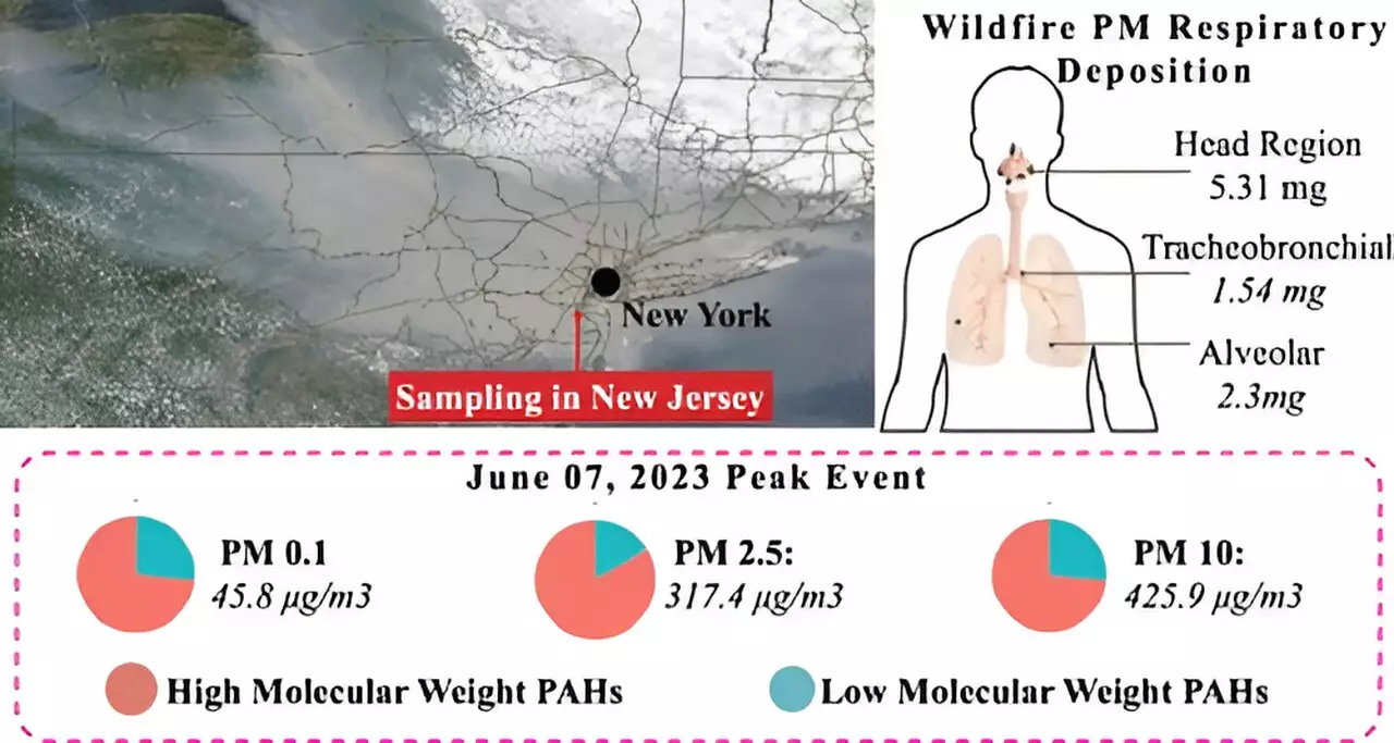 The Hidden Perils of Wildfire Smoke: Insights from Rutgers Research