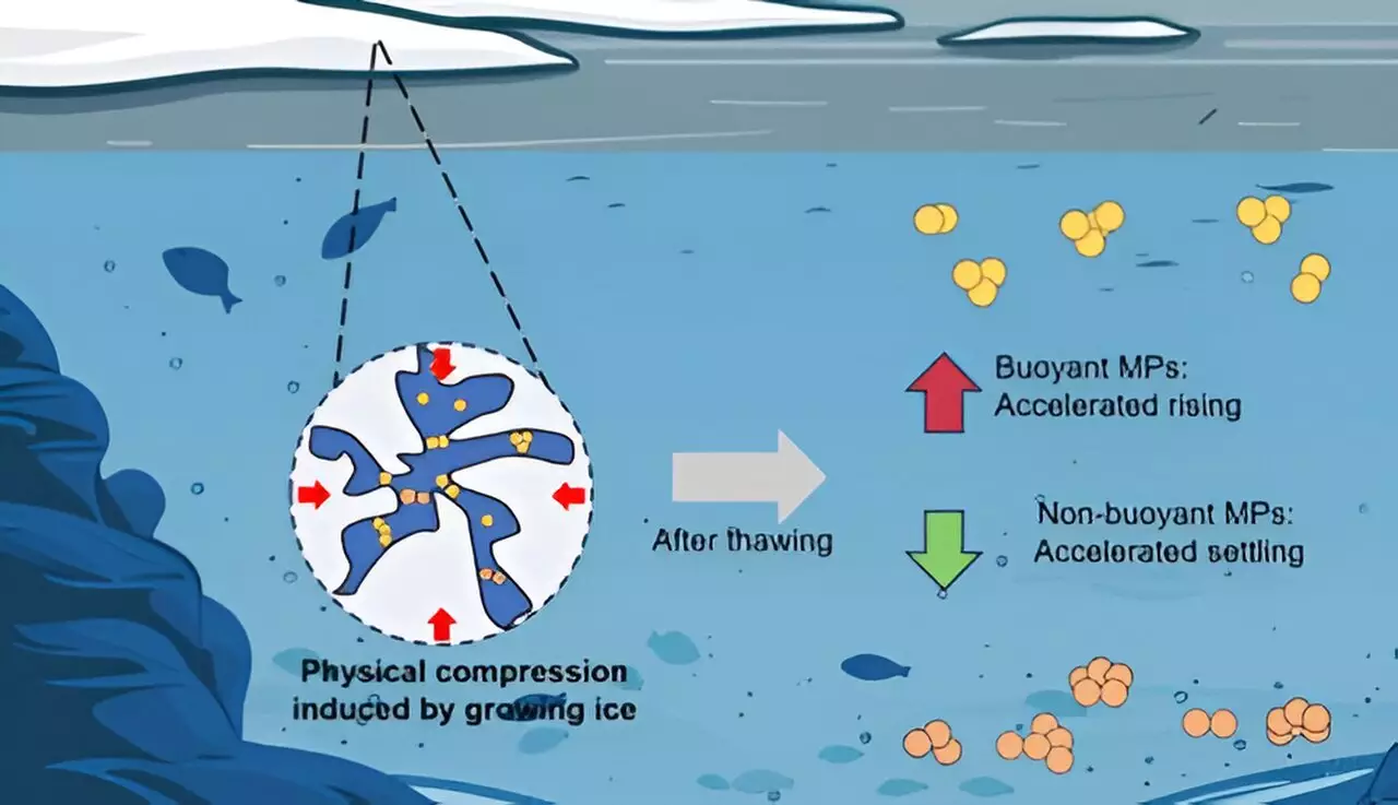 Unveiling the Hidden Impact of Ice on Microplastics: A New Perspective