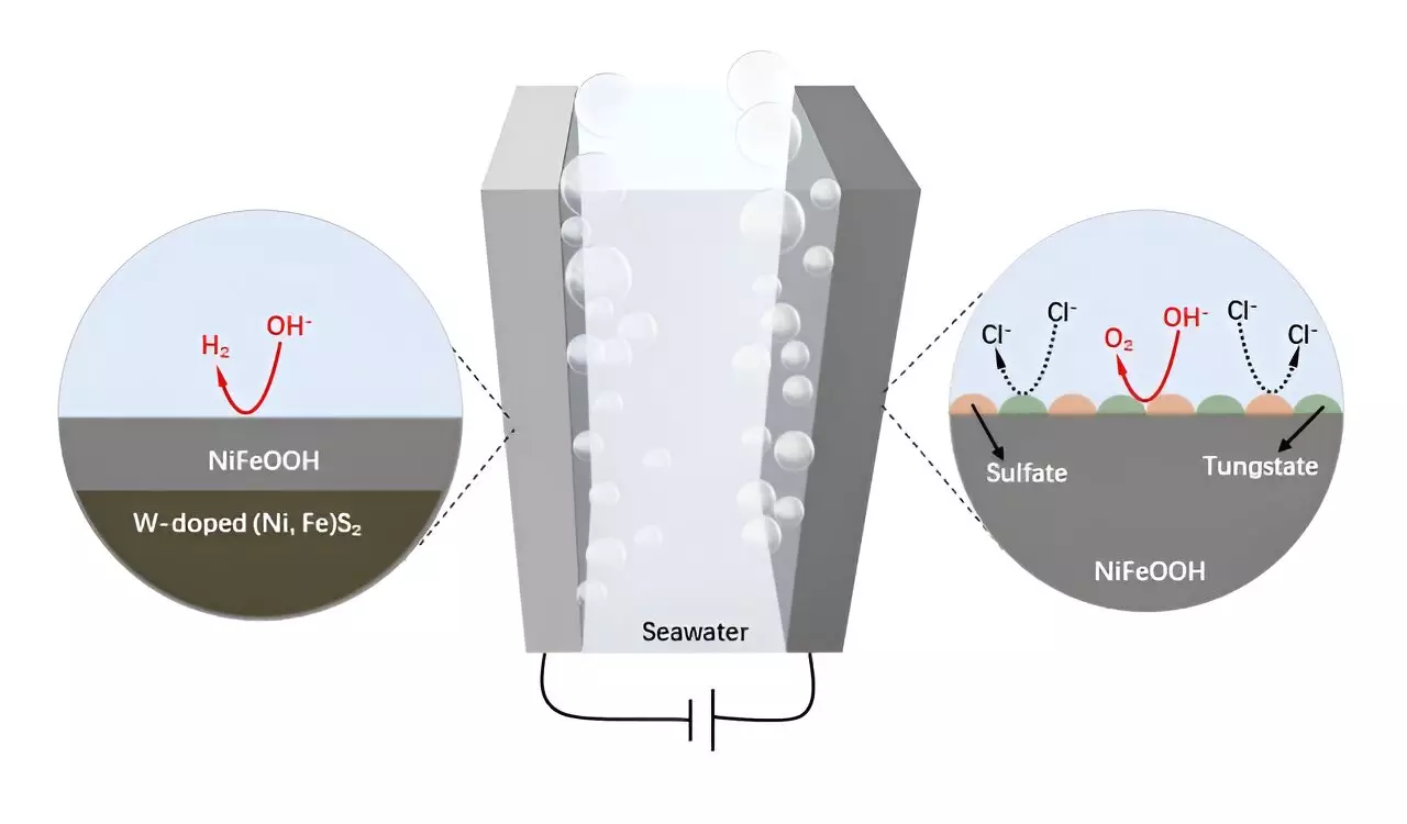 Harnessing Seawater Electrolysis: The Rise of Tungsten-Doped NiFe Catalysts