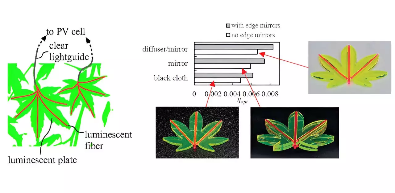 Revolutionizing Solar Energy: The Promise of Leaf-Like Luminescent Solar Concentrators