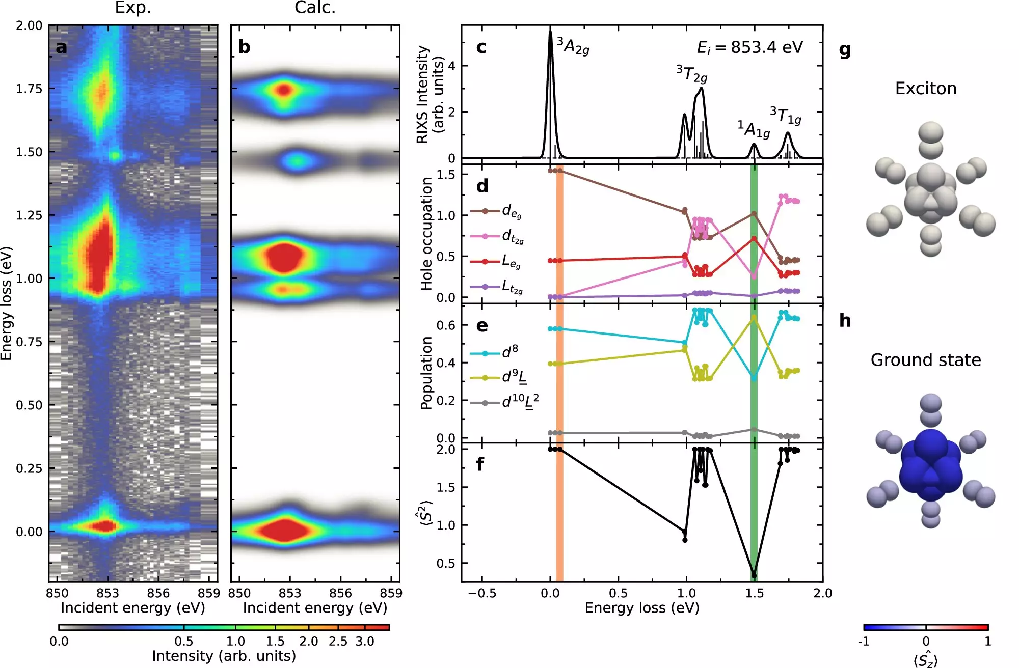 Unlocking the Mysteries of Excitons in Van der Waals Magnets