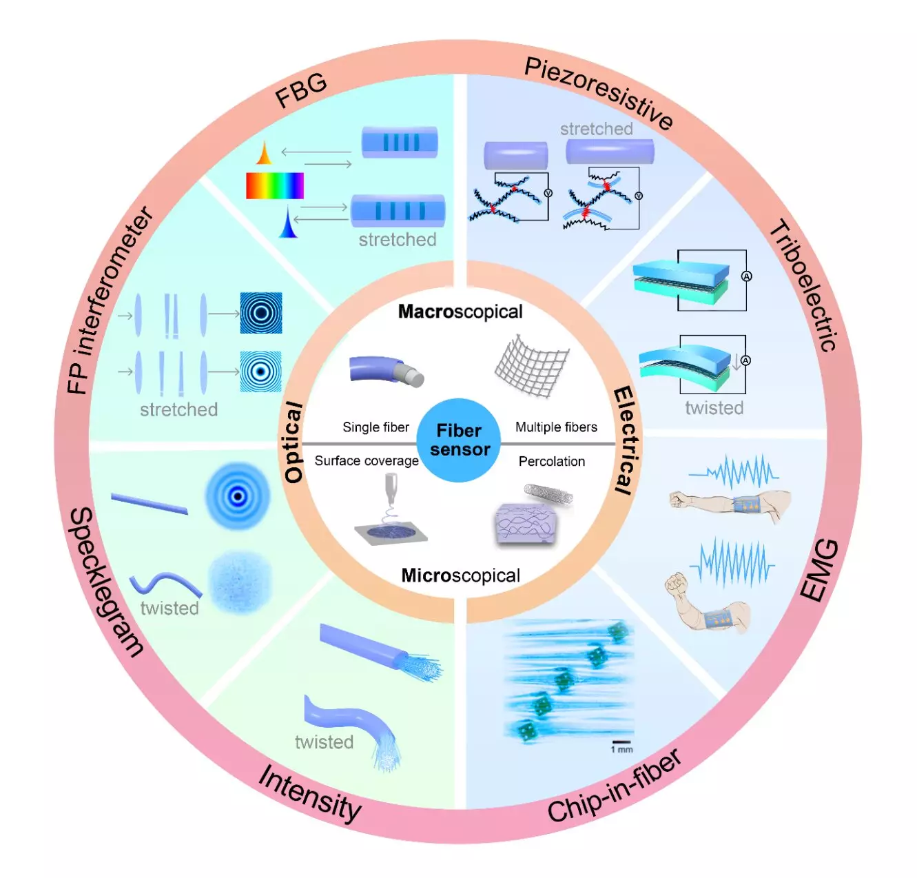 The Future of Wearable Technology: The Role of AI and Fiber Sensors