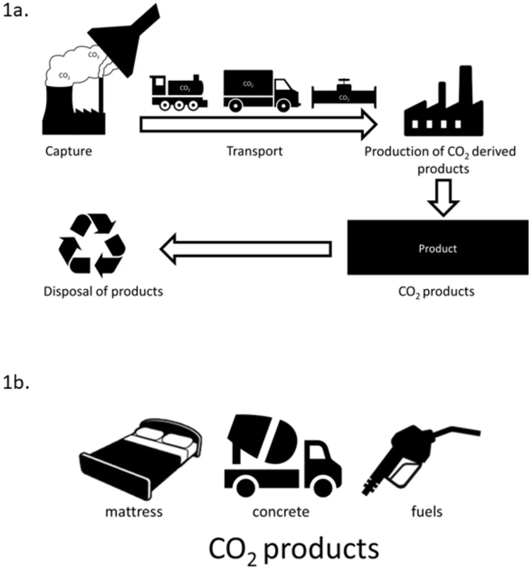 Understanding Public Perception of Carbon Capture and Utilization: A Study on Support Dynamics