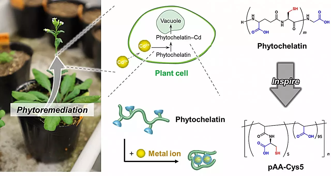 Transforming Water Purification: A Revolutionary Breakthrough in Heavy-Metal Removal