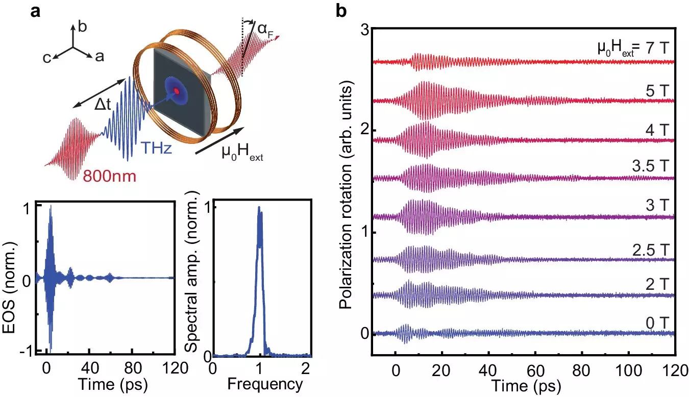 Revolutionizing Data Storage with Antiferromagnetic Materials