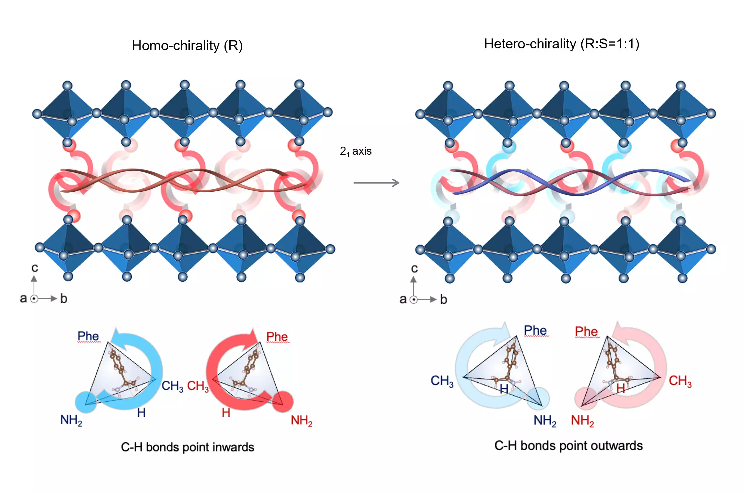 Transformative Breakthrough: Chiral Interfaces Boost Perovskite Solar Cell Reliability