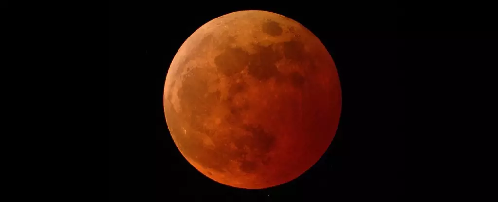 Celestial Marvel: Witnessing the Blood Worm Moon