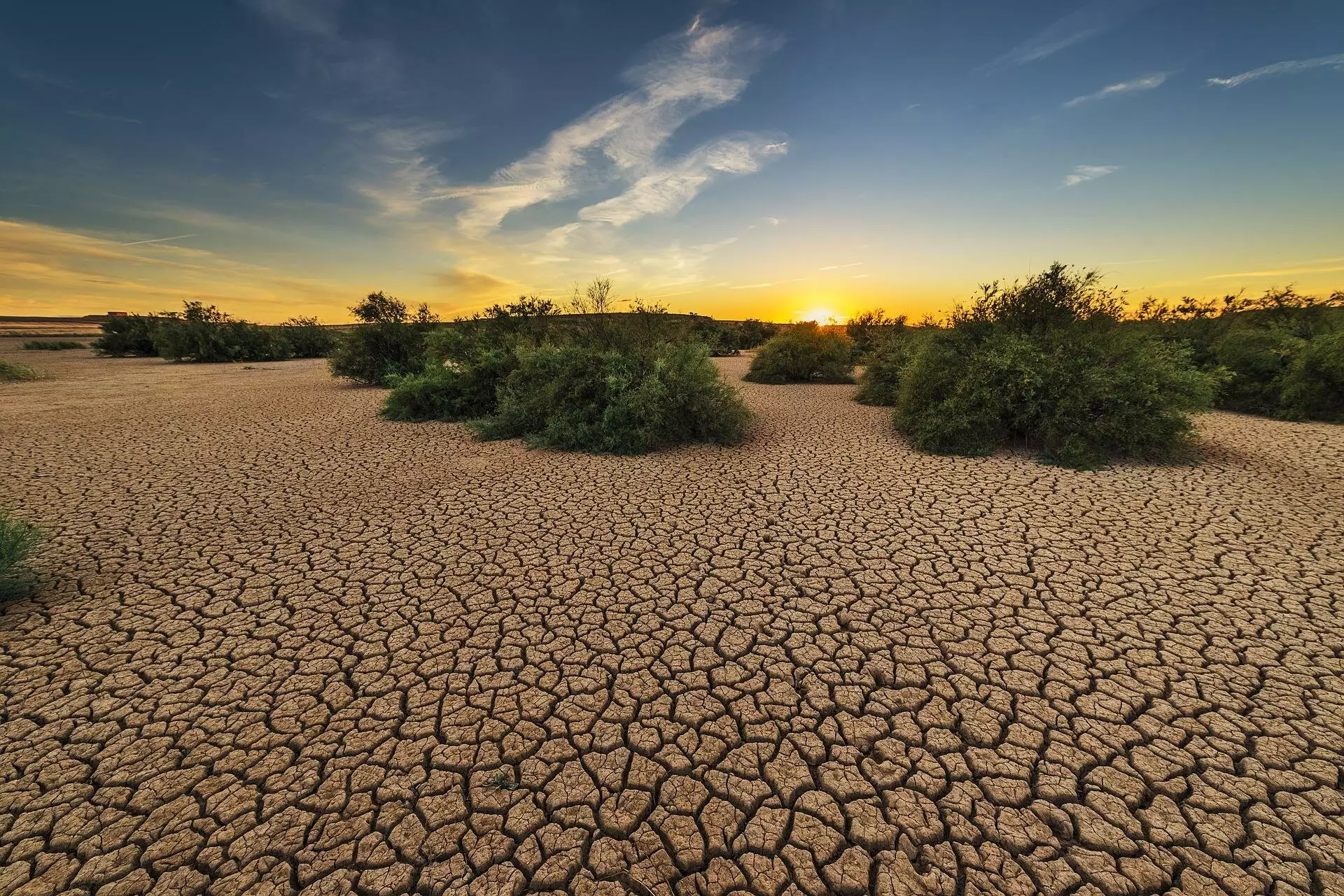 Flash Droughts: The Growing Crisis of Rapid Dryness