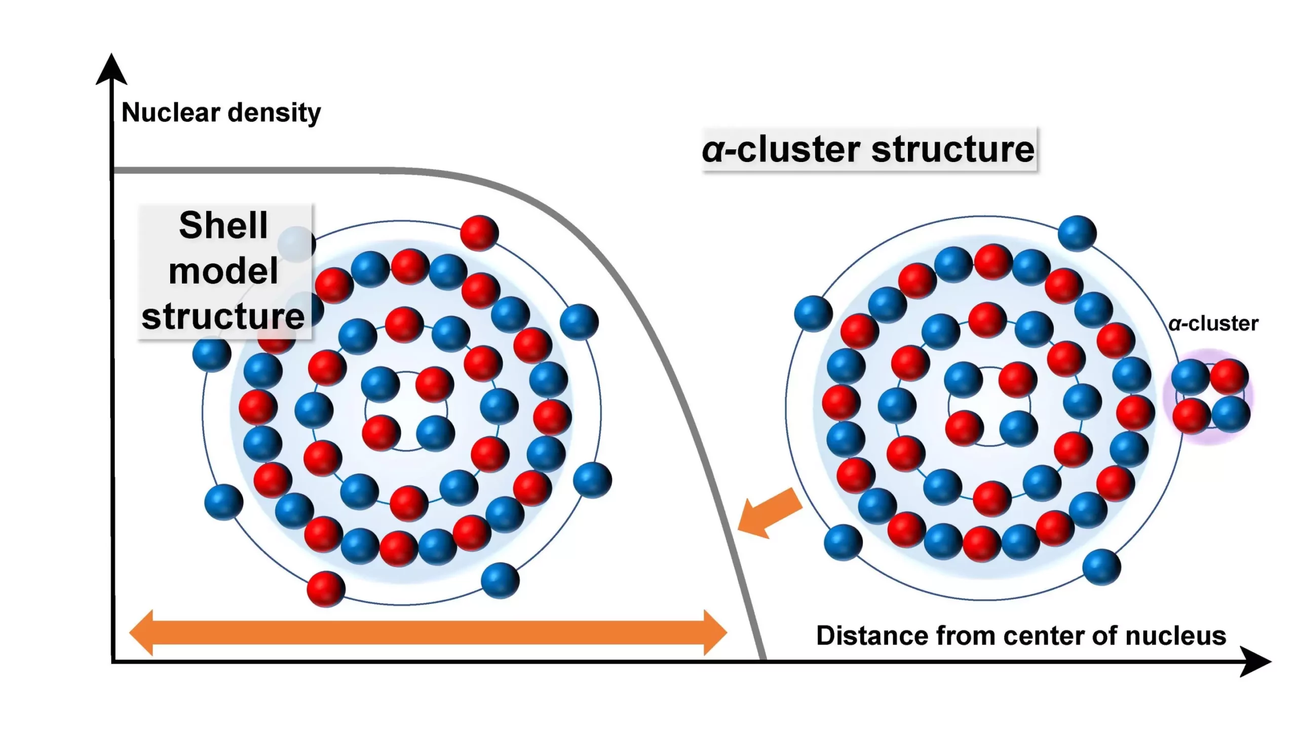 Revolutionizing Nuclear Physics: The Dynamic Nature of Titanium-48