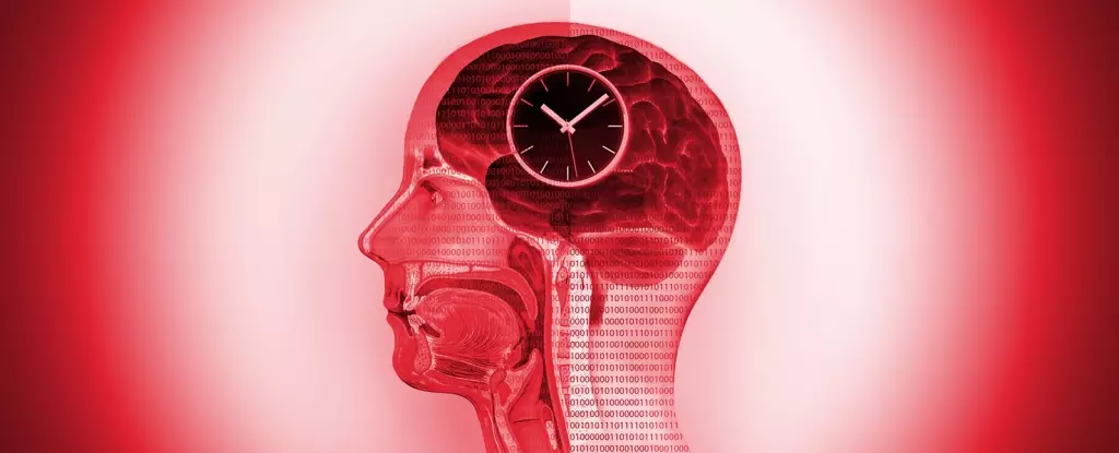 Transformative Breakthroughs: How Intermittent Calorie Restriction Reshapes Gut and Brain Health