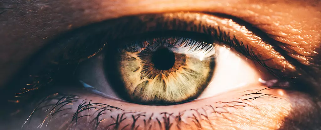 Unlocking Vision: A Revolutionary Approach to Retinal Regeneration