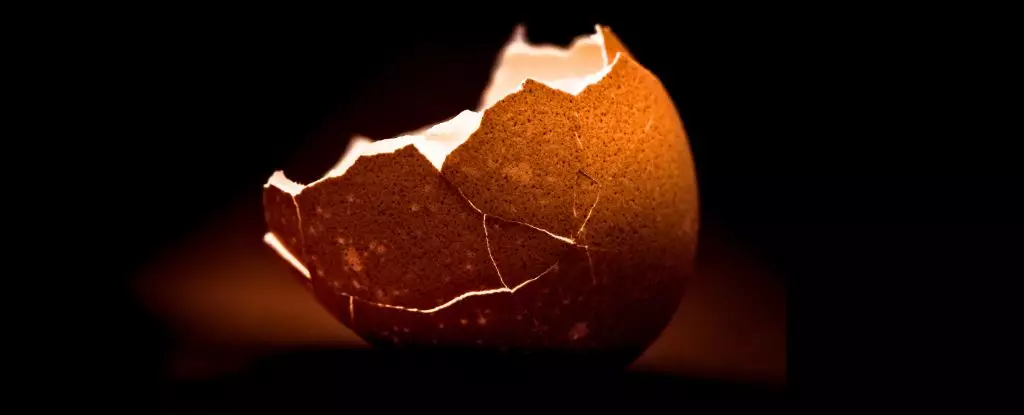 The Ultimate Guide to Perfectly Peeled Boiled Eggs: Secrets Revealed