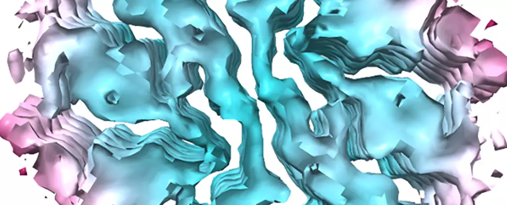 Breakthrough in Tau Protein Research: A New Frontier in Neurodegenerative Disease
