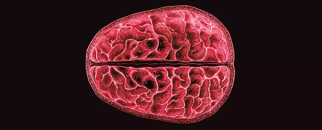 Unveiling the Mind: How Menstrual Hormones Reshape Our Brains
