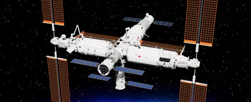 Revealing the Unknown: The Resilience and Risks of Space Bacteria