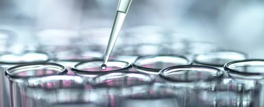 Revolutionary Immunotherapy Offers Glimmer of Hope for Celiac Disease Sufferers