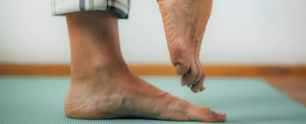The Power of Aging: Embracing Holistic Wellbeing for a Vibrant Life