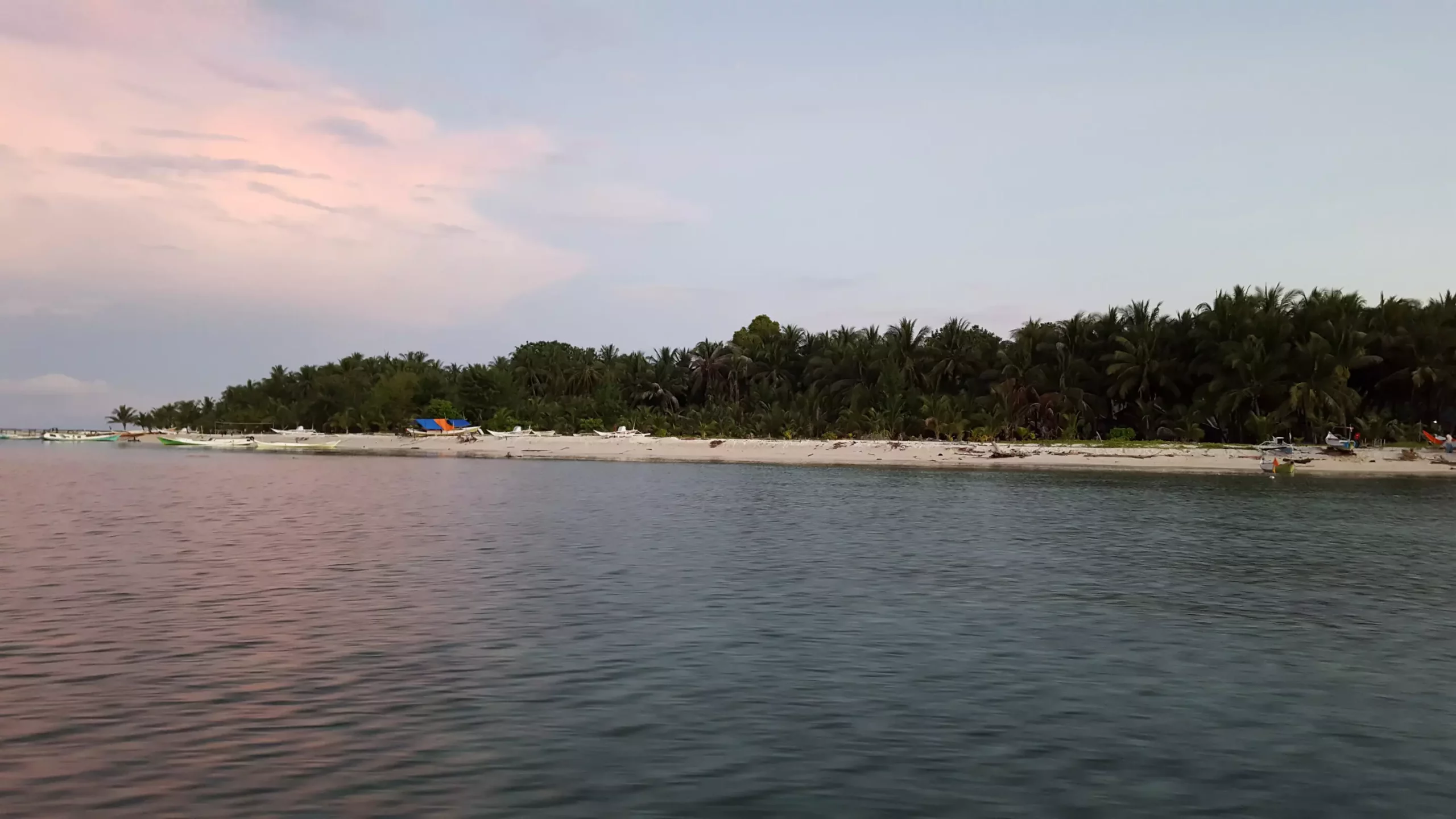 Defying Expectations: The Resilience of Reef Islands in the Face of Environmental Change