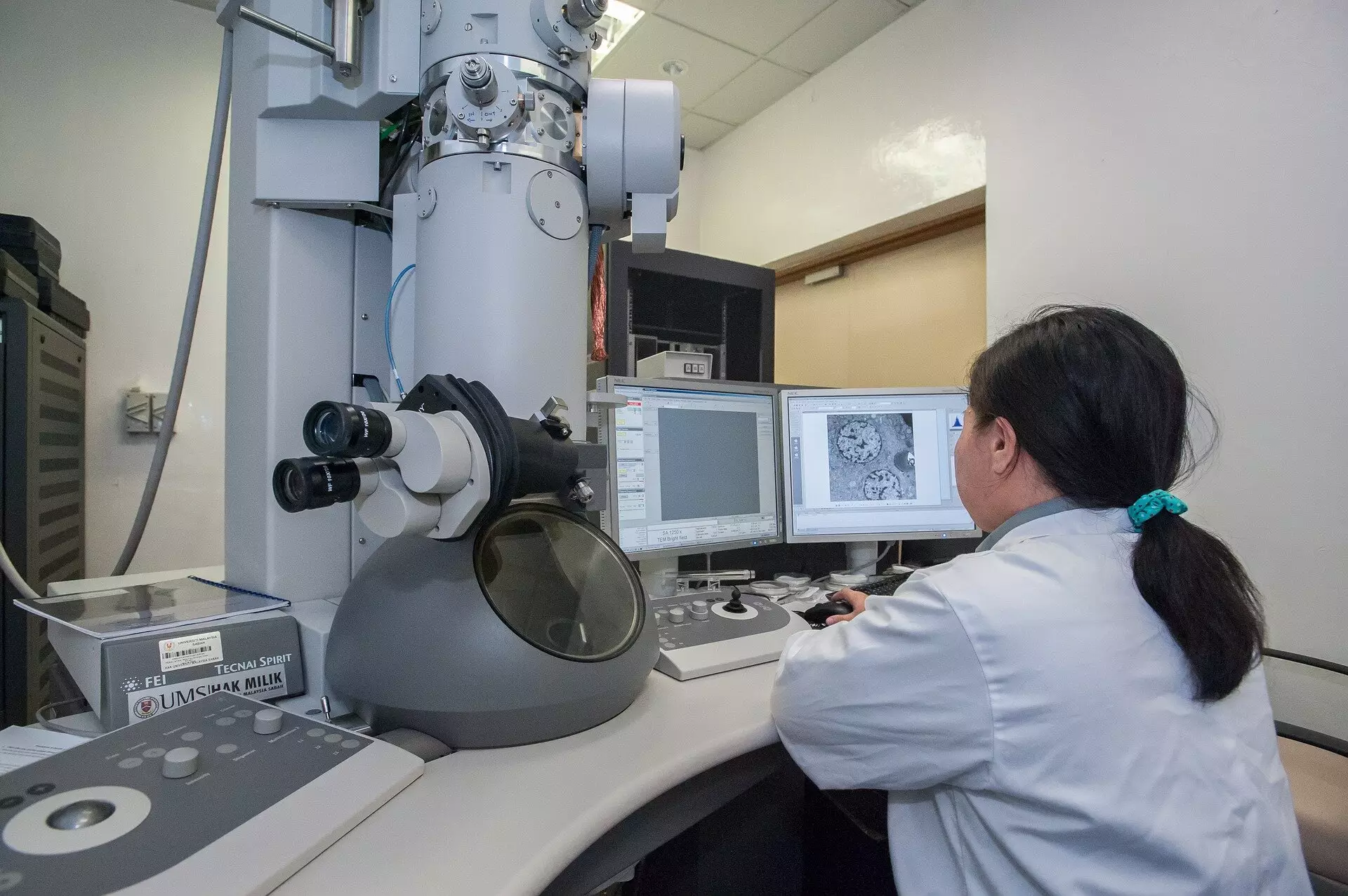 Revolutionary Imaging Breakthrough: Reducing Radiation in Microscopic Analysis