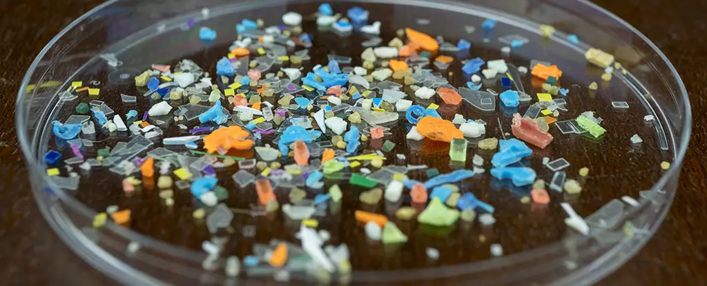 Unveiling the Dark Side of Microplastics: A Deep Dive into Gut Health Risks