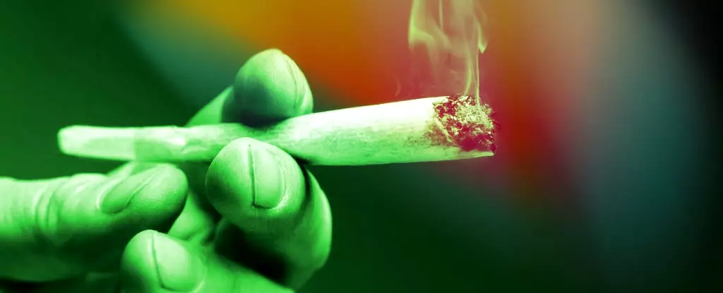 Rethinking Cannabis: The Hidden Risks of Growing Use