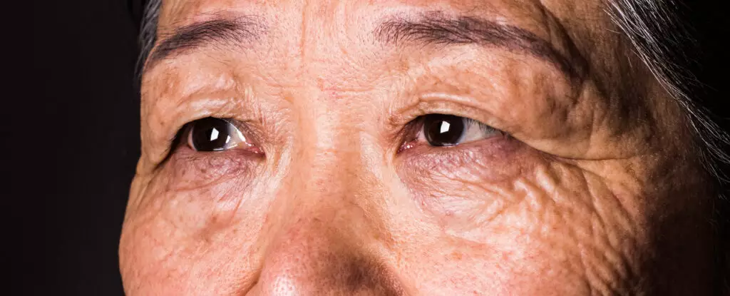 Unlocking the Secrets of the Eyes: A Revelation in Dementia Detection