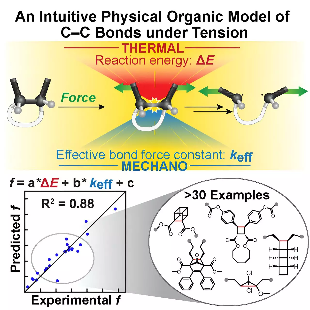 The Breakthrough Model Revolutionizing Mechanophore Design