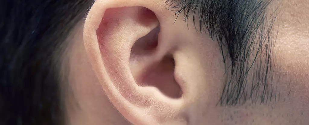 Revolutionizing Parkinson’s Detection: The Promise of Earwax Chemistry