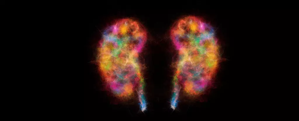 Revolutionizing Parkinson’s Research: The Kidney’s Surprising Role in Disease Onset