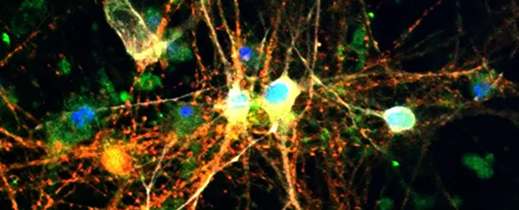 Unlocking the Power of Brain Glycogen: A Paradigm Shift in Neurodegenerative Disease Treatment