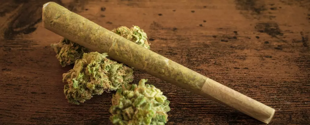 Unlocking the Hidden Impact of Cannabis: How It Alters Our Genetic Blueprint