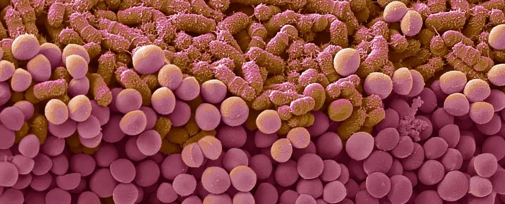 Unlocking the Hidden Power of Gut Bacteria to Revolutionize Diet and Weight Management