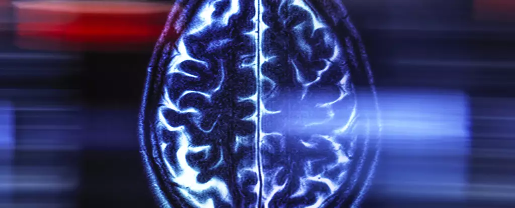 Revolutionizing Aging: Unlocking the Brain’s Secrets to a Longer, Healthier Life